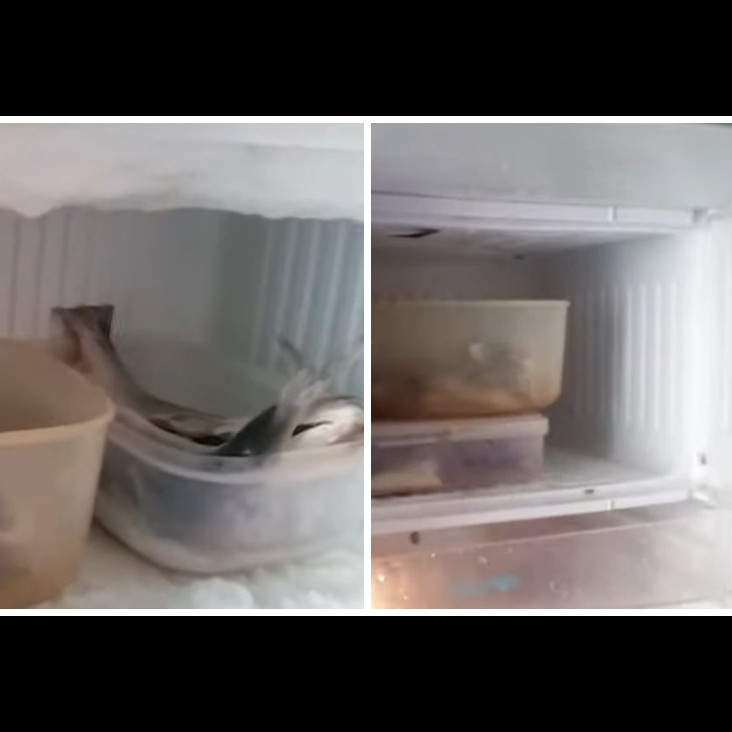 Tak perlu dilapisi plastik, ini trik mudah mencegah munculnya bunga es dalam freezer