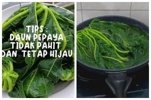 Pakai 3 bahan dapur, ini trik masak daun pepaya agar tetap hijau dan teksturnya lembut