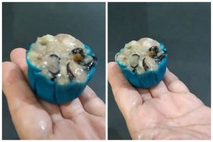 Trik mengukus dimsum agar tak lengket walau tanpa kukusan bambu, cukup pakai 1 alat sederhana