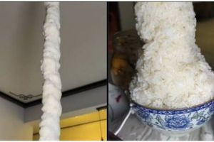 Bilangnya cuma semangkuk, 11 potret kocak porsi nasi ini malah ngabisin jatah makan orang lain