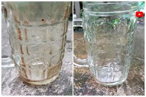 Bukan pakai bahan pemutih, ini cara bersihkan kerak di gelas kaca cuma pakai 1 bahan sederhana