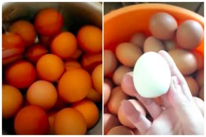 Tanpa perlu diberi cuka atau garam, ini cara rebus telur agar cangkangnya tak retak dan hasilnya mulus