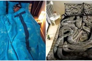 11 Potret kocak desain seprai kasur ini bikin tidur auto nggak nyenyak, tertarik beli?