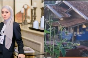 Potret transformasi rumah 9 pedangdut di kampung halaman bikin takjub, milik Lesty mewah di persawahan