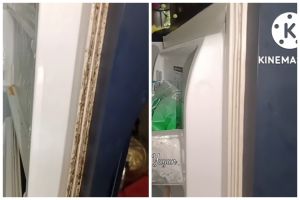 Bukan baking soda, ini cara bersihkan karet pintu kulkas dari noda jamur cuma pakai 2 bahan