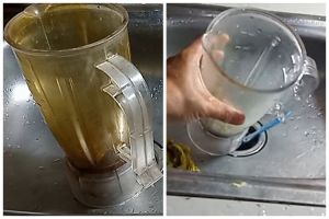 Tanpa sitrun dan air panas, begini trik bersihkan kerak kuning di blender pakai 2 bahan sederhana