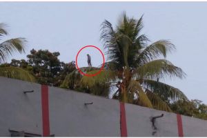 Sedang nikmati pemandangan, 11 potret kocak penampakan aneh ini malah bikin gagal fokus