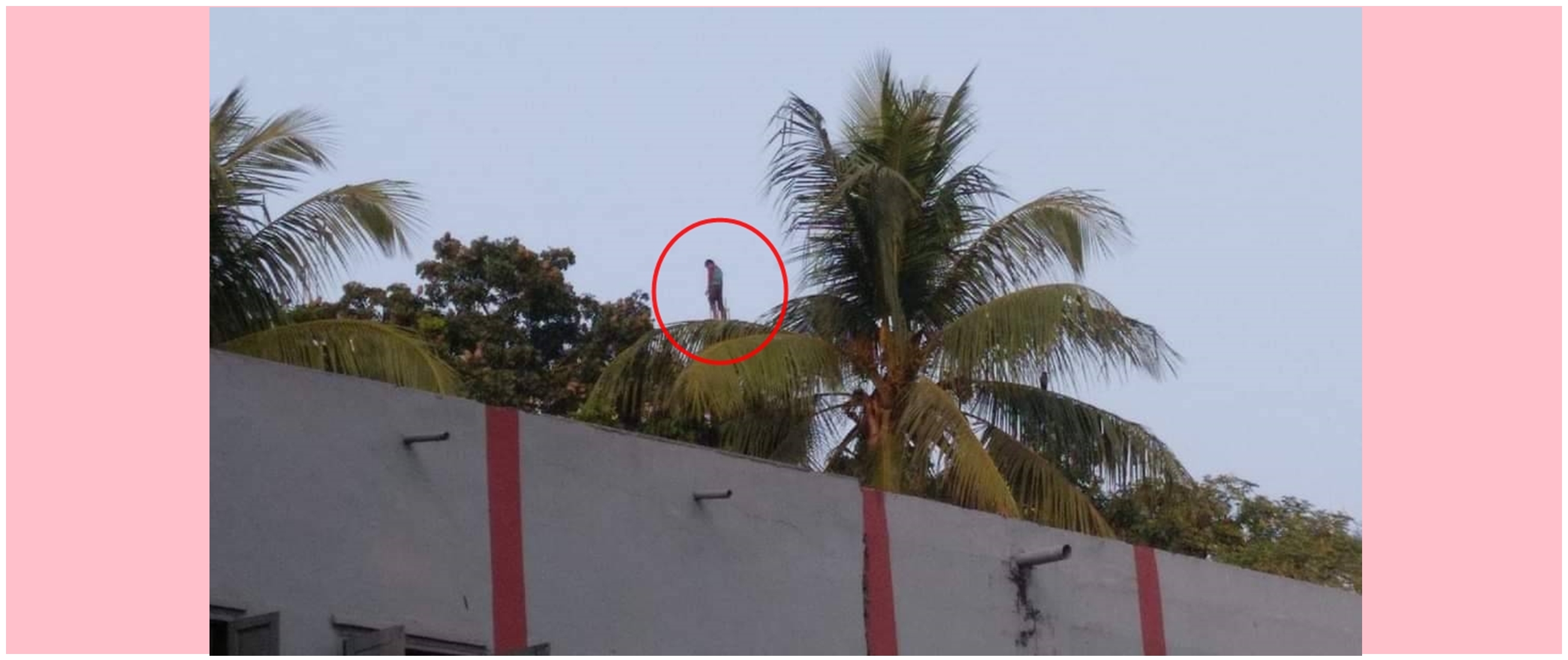 Sedang nikmati pemandangan, 11 potret kocak penampakan aneh ini malah bikin gagal fokus