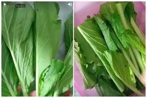 Trik mudah simpan sawi agar tidak cepat busuk dan menguning, cuma tambahkan 1 bahan