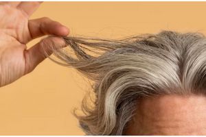 Tanpa minyak kelapa, ini cara mencegah uban di usia muda hanya pakai hair oil dari 1 jenis tanaman