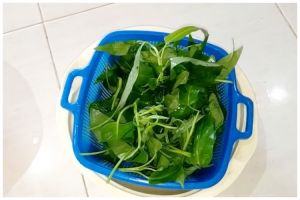 Jangan cuma pakai garam, ini cara bersihkan kangkung agar bebas kotoran dan serangga walau tak dibelah