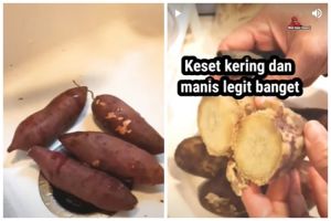 Trik merebus ubi jalar agar teksturnya empuk, legit, dan kesat saat sudah matang