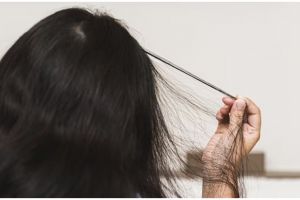 Bukan dengan seledri, ini trik atasi rambut patah karena bleaching pakai sampo dari 1 jenis daun