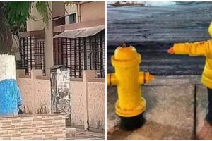 11 Potret lucu kebetulan difoto dari belakang ini menipu mata, endingnya bikin tepuk jidat