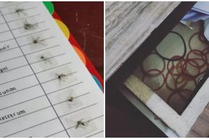 11 Potret kocak koleksi benda nggak penting ini gabutnya keterlaluan, bikin repot dan nirfungsi