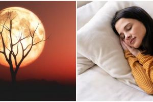 11 Arti mimpi seputar bulan menurut primbon Jawa, ada pertanda baik di dalamnya