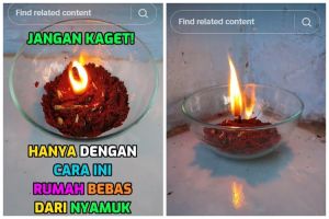Modal 3 bahan dapur, ini cara bikin obat nyamuk sederhana, efektif, dan bebas bau menyengat