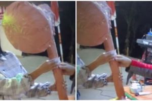 Momen apes cewek senang dapat doorprize kipas angin, pas dibuka isinya bikin kecewa berat