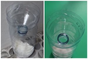 Bukan pakai nasi, ini cara bikin perangkap cicak sederhana cuma mengandalkan 2 bahan dapur