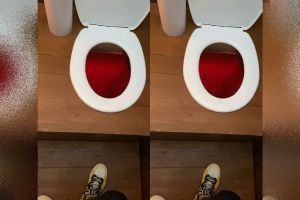 Desain jamban ini biasa saja, tapi cara pakainya terlampau mindblowing, berasa cosplay jadi kucing