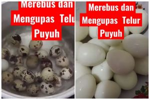Lebih hemat gas, begini trik merebus telur puyuh dalam 7 menit agar matang sempurna dan mudah dikupas