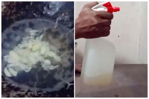 Bukan pakai kopi, ini cara mudah bikin obat nyamuk alami modal 1 bahan dapur