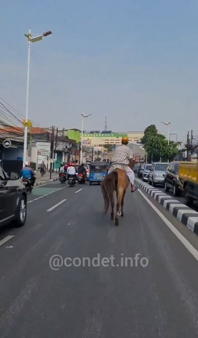 Momen pria keliling Jakarta pakai kuda ini banjir sorotan, alasannya out of the box