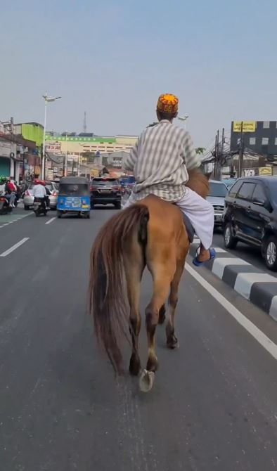Momen pria keliling Jakarta pakai kuda ini banjir sorotan, alasannya out of the box