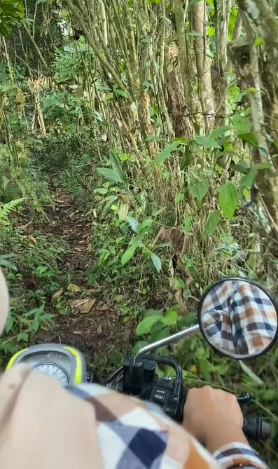 Momen ngenes cewek tersesat di hutan karena ikuti Google Maps, cuma bisa jalan sambil istighfar
