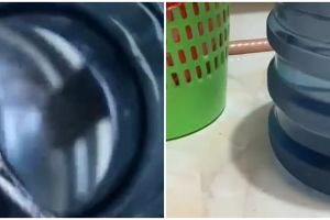 Penampakan galon kemasukan benda tak diinginkan ini bikin syok, endingnya jadi geli sekaligus kasihan