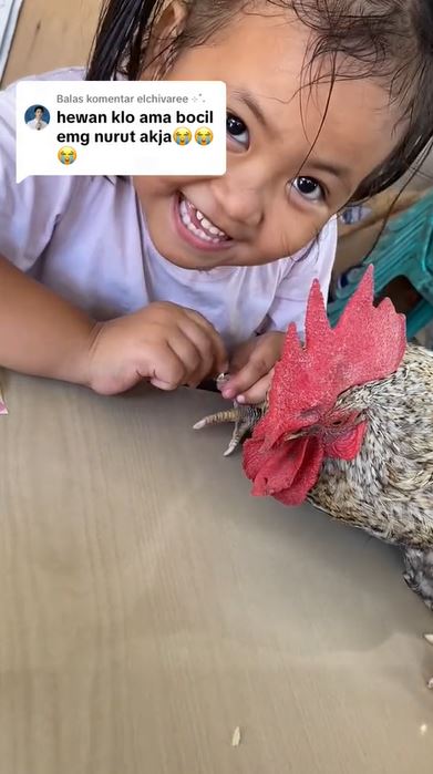 Aksi kocak bocah telaten buat nail art di kaki ayam jago, ekspresi ayamnya bikin heran