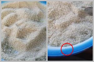 Tanpa bahan tambahan, ini cara cepat mengusir semut di toples gula pasir