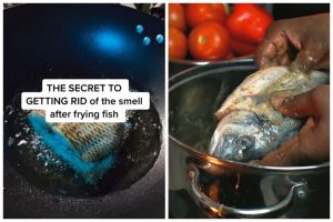 Trik menghilangkan bau amis ikan menyengat di dapur, ampuh pakai 1 jenis rempah
