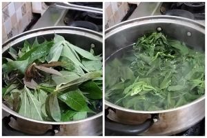 Cukup 3 menit, begini trik merebus daun singkong agar empuk dan warnanya hijau meski tanpa baking soda