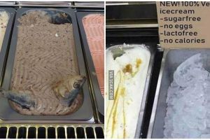 Tak cuma cokelat & vanila, 11 potret kocak ternyata es krim punya rasa nyeleneh ini bikin nggak nafsu