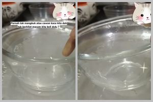 Tanpa sabun, ini cara mudah bersihkan mangkuk kaca kusam cuma pakai 2 bahan sederhana