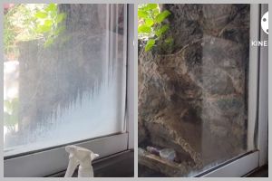 Pakai 1 bahan dapur, ini cara mudah bersihkan jendela kaca kusam dan berdebu agar kembali kinclong