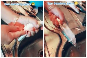 Tanpa presto atau dibelah dulu, begini trik mengeluarkan duri ikan bandeng pakai 1 alat sederhana