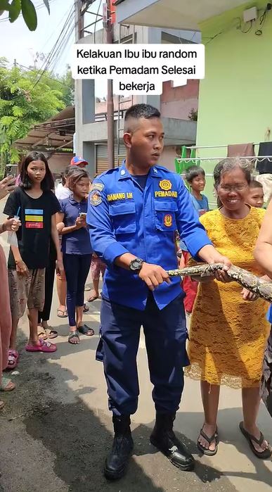 Sedang tegang evakuasi ular piton, petugas damkar ini dibikin nyengir oleh tingkah absurd emak-emak