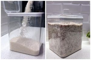 Tanpa daun jeruk, begini trik menyimpan beras agar tidak berkutu pakai 1 bahan dapur