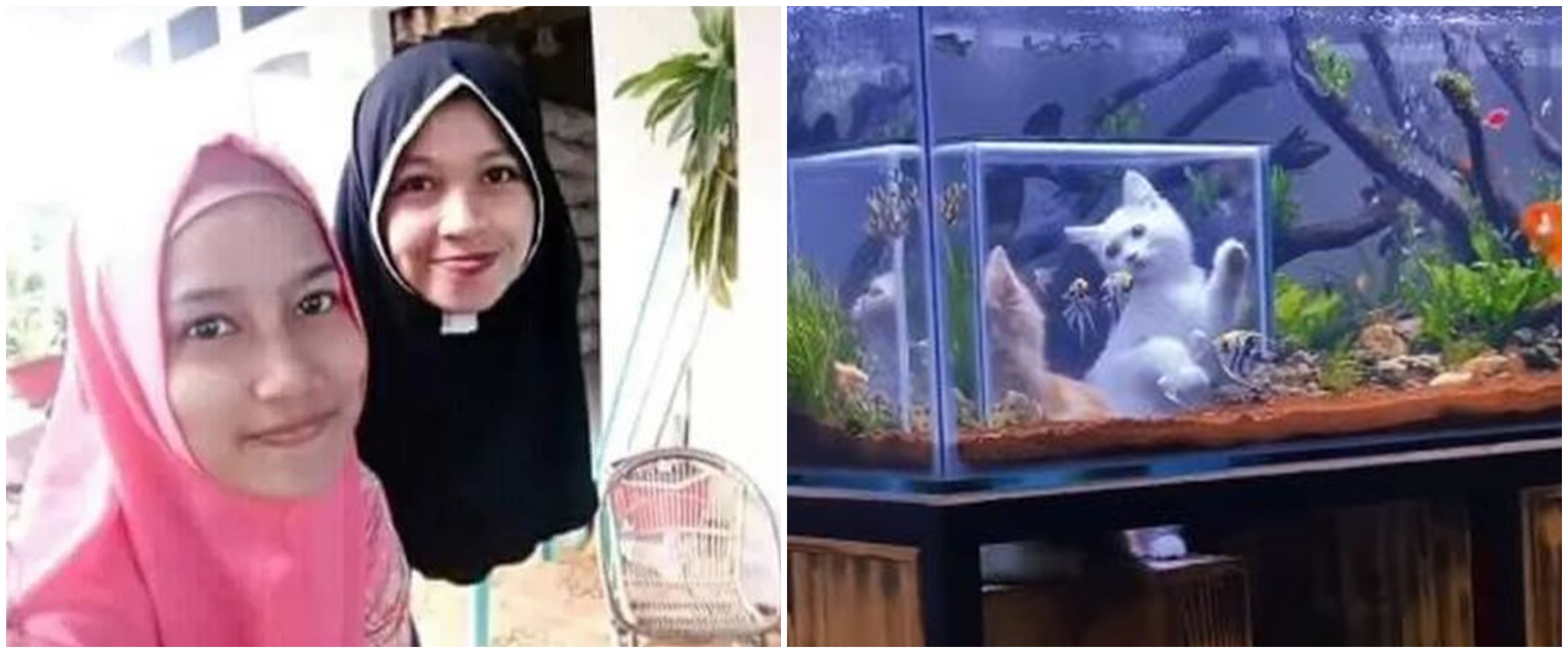 11 Potret kocak tak sengaja dijepret ini bikin garuk kepala, dilihat dua kali baru paham
