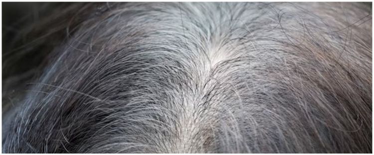 Hasilnya hitam pekat bak semir di salon, ini cara cegah uban muncul kembali hanya pakai 2 bahan alami