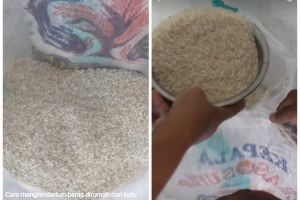 Tanpa rempah dan daun jeruk, ini trik agar beras dalam karung bebas kutu pakai 1 sampah dapur