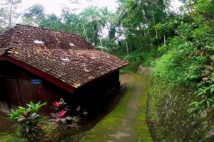 Rumah di tengah hutan rimbun Purworejo ini ternyata hunian pahlawan nasional, lantainya masih tanah