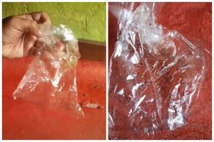 Cara ampuh membasmi serangga rengit tanpa semprotan atau alat khusus, cukup manfaatkan 1 bahan dapur