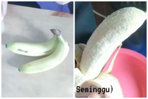 Cara menyimpan pisang matang di kulkas, tak lembek dan menghitam sampai 1 minggu