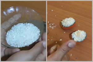Nggak cuma beras, ini trik mudah bikin racun tikus yang ampuh cuma tambah 2 bahan dapur