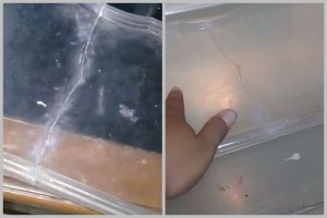 Bukan pakai lakban, ini cara mudah memperbaiki rak kulkas patah agar kembali utuh