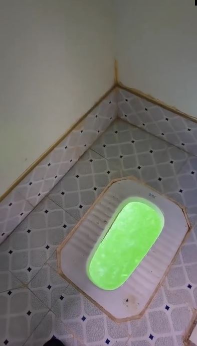 Penampakan toilet di perahu ini syahdu banget, buang hajat dengan view estetik