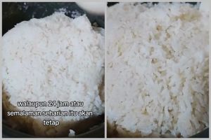 Bukan ditutup kain, ini trik simpan nasi di rice cooker agar tak kering semalaman cuma pakai 1 bahan